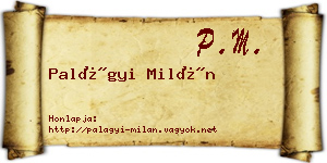 Palágyi Milán névjegykártya