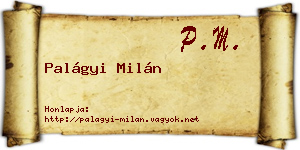 Palágyi Milán névjegykártya